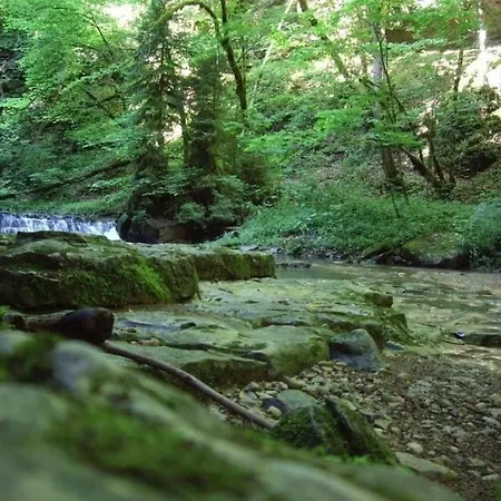 Prázdninový dům In Wutach With Swimming Pool *