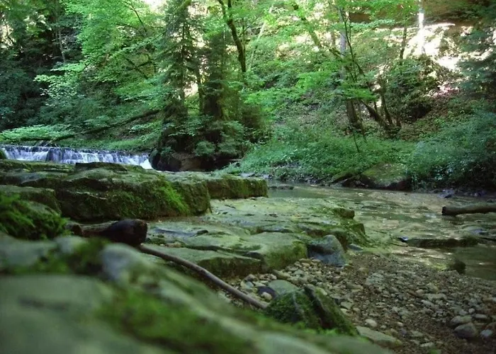 Nyaraló In With Swimming Pool *